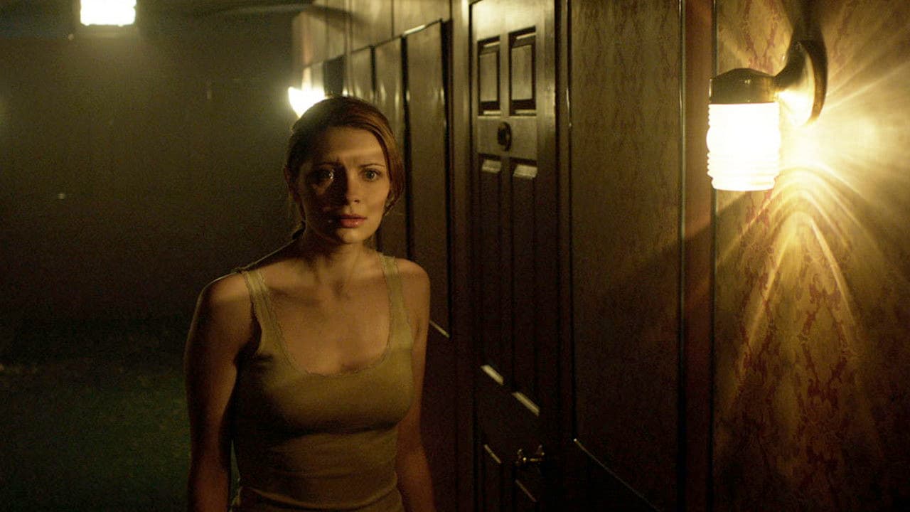 I Will Follow You Into the Dark