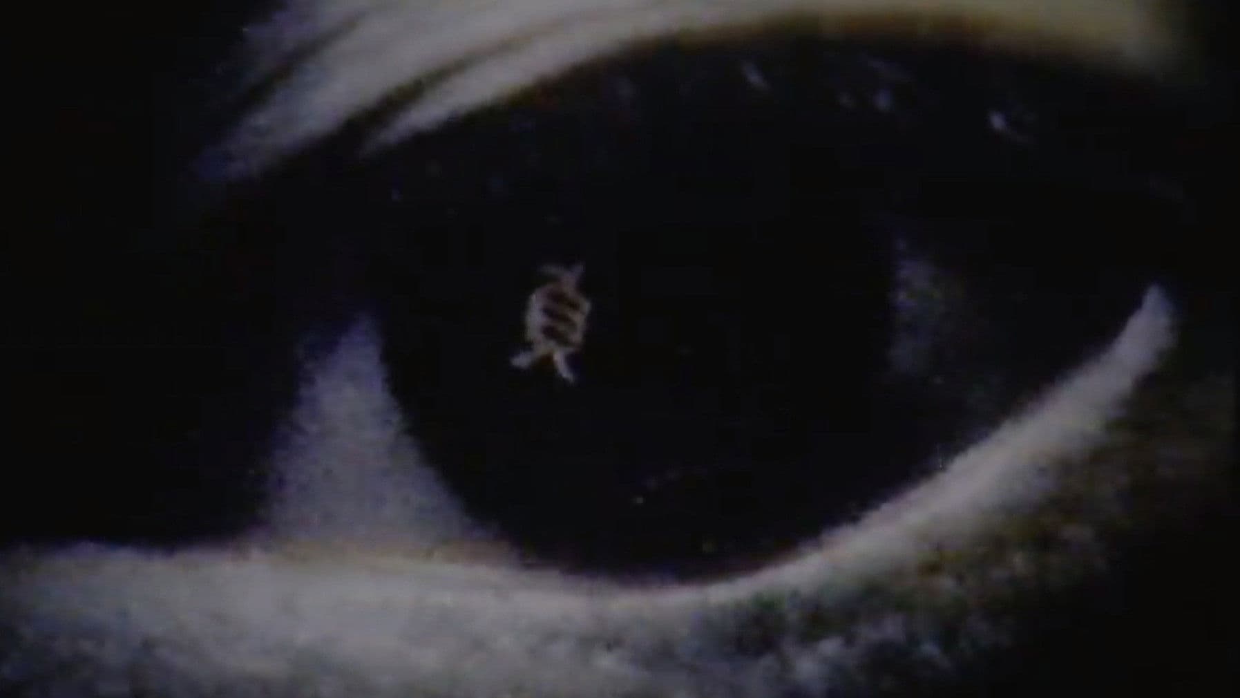 The Cursed Tape (from Ring)