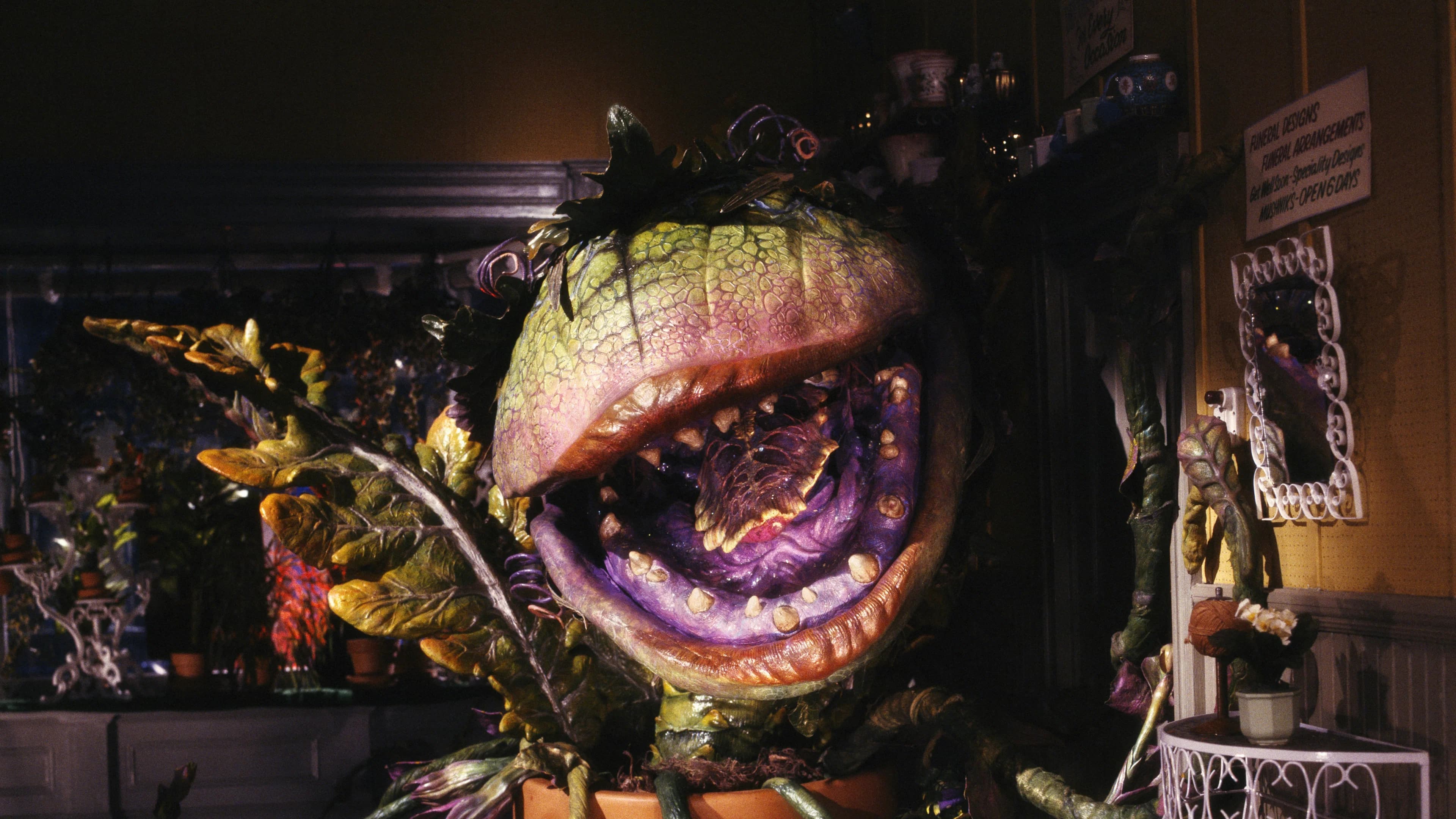 Little Shop of Horrors