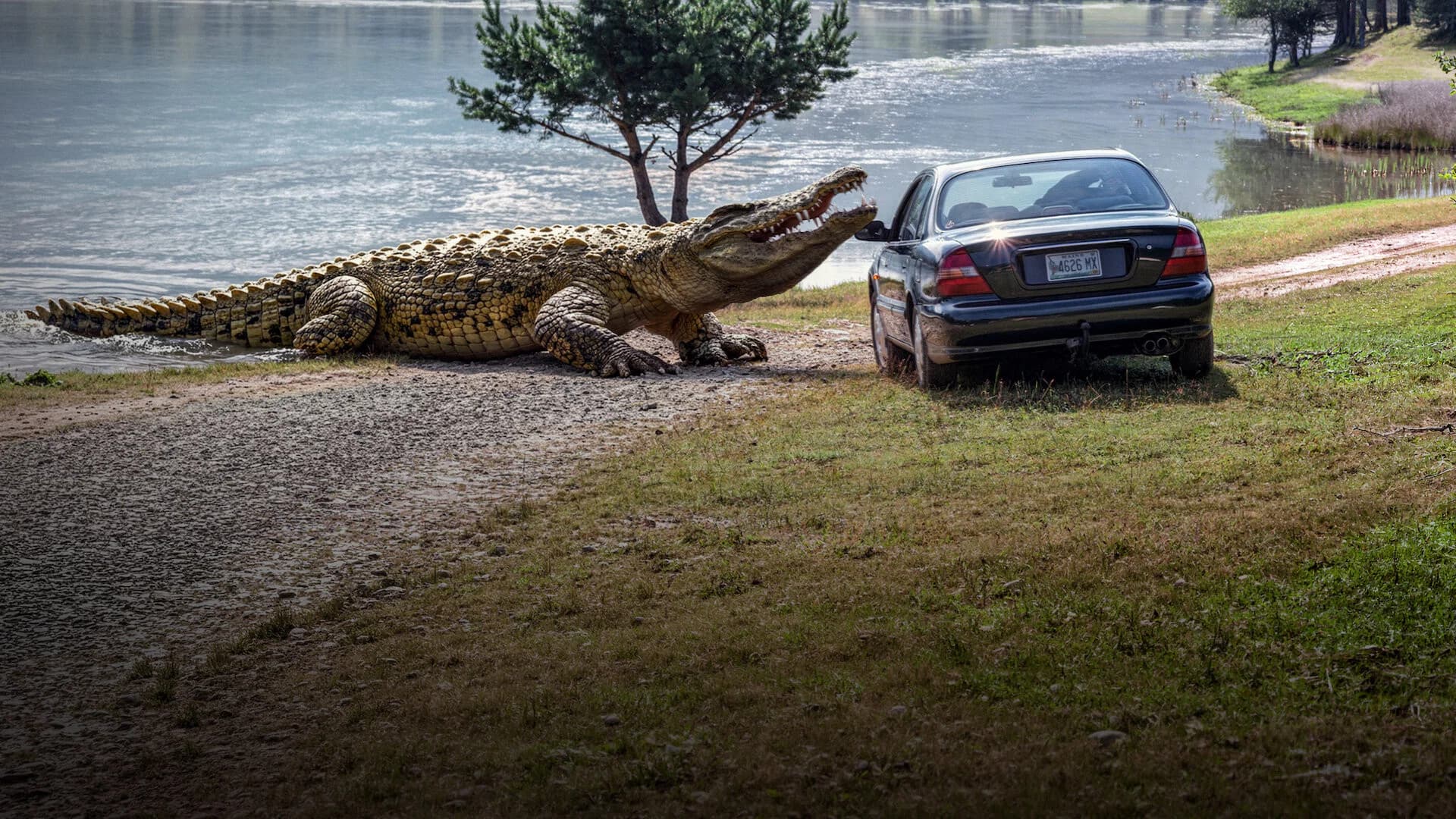 Lake Placid 3