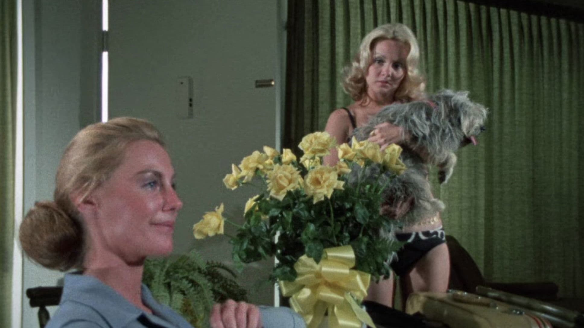 The Centerfold Girls