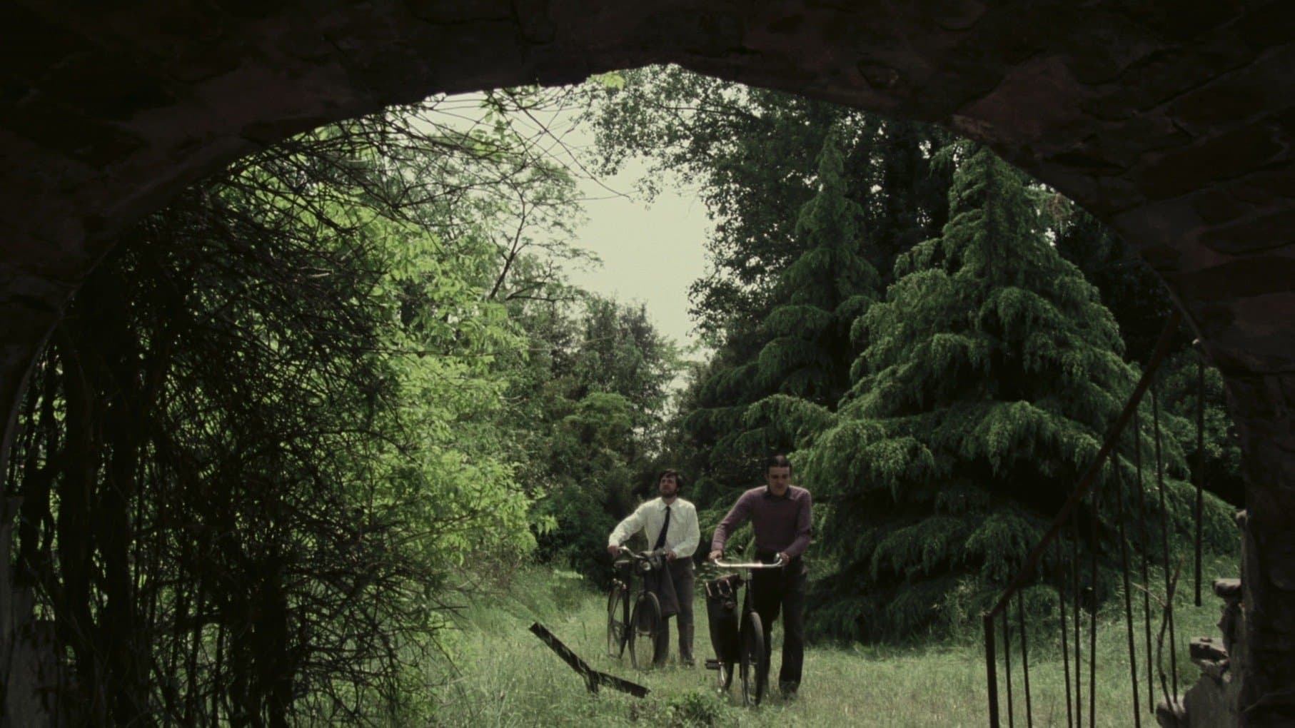 The House with Laughing Windows