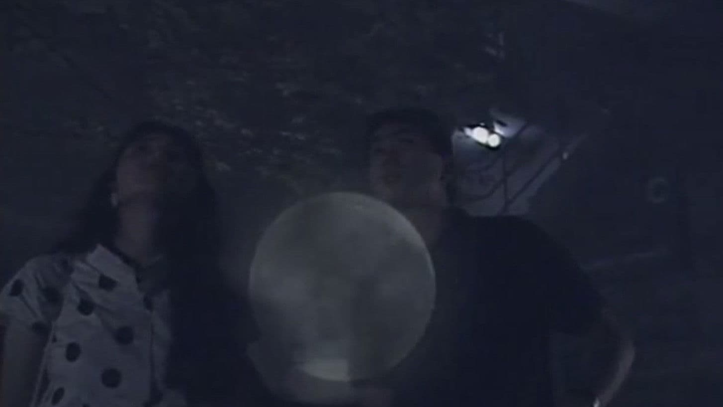 Daikanyama Wonderland Horror