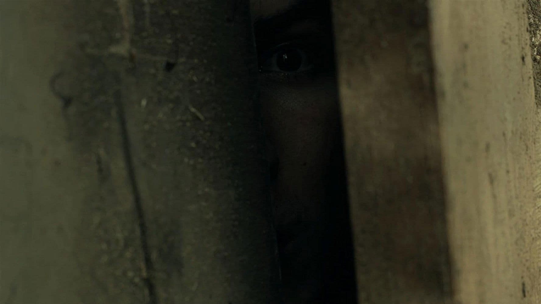 Flowers for My Garden