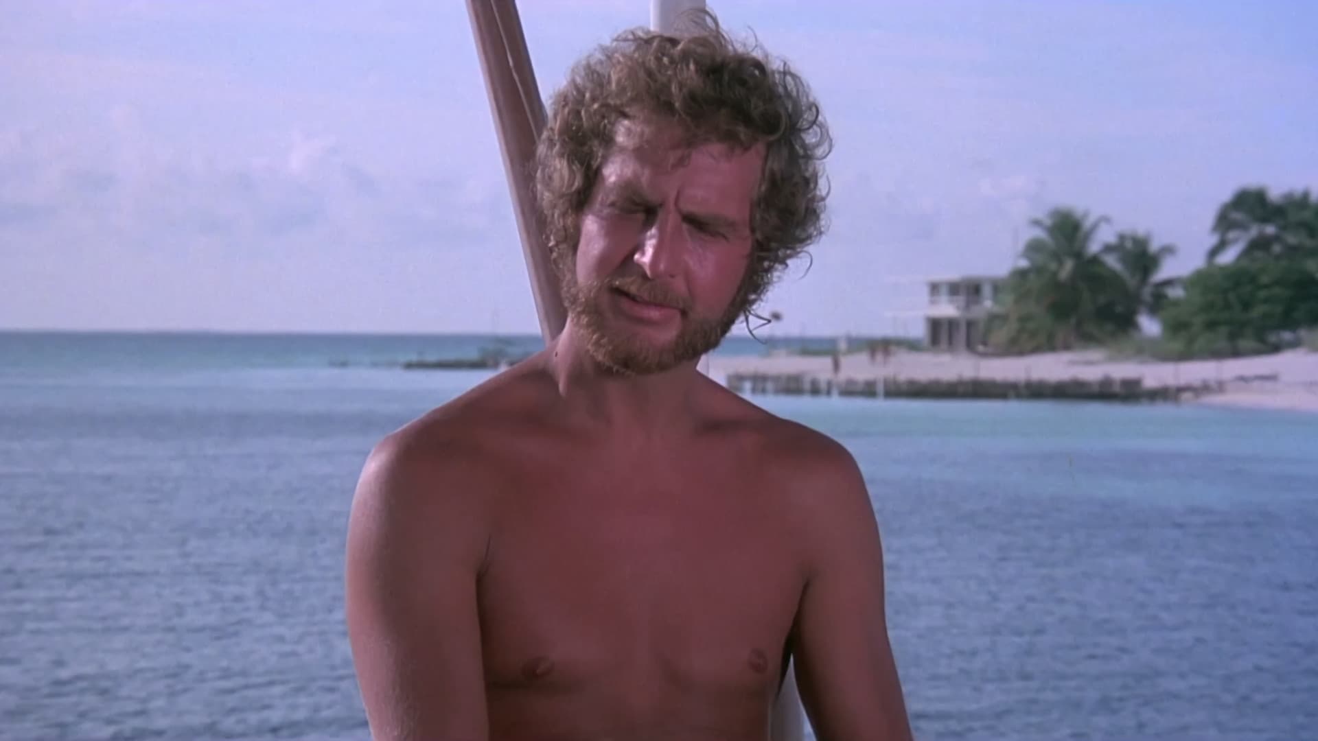 Tintorera: Killer Shark