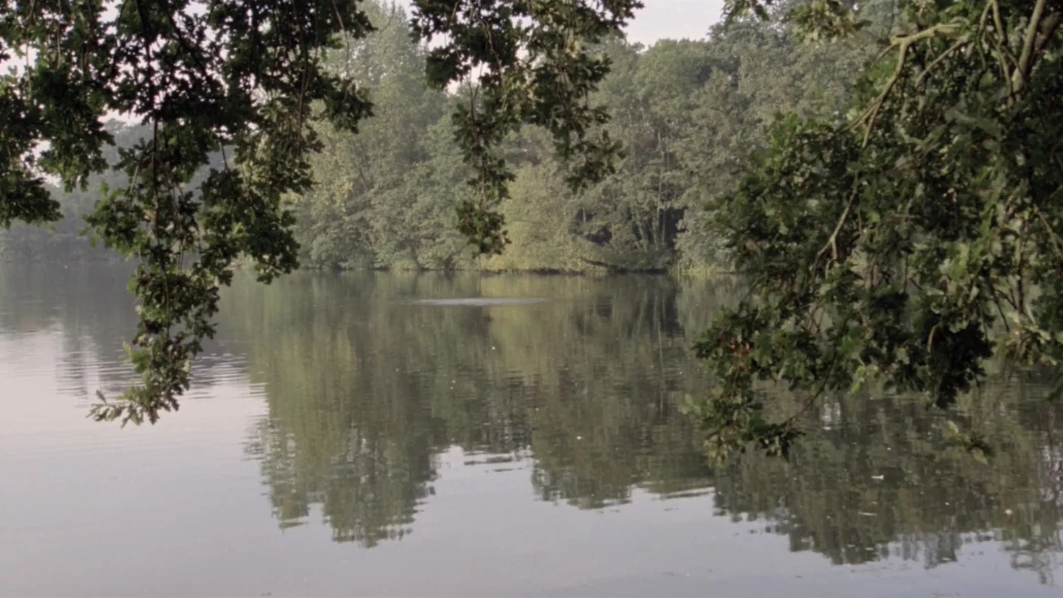 The Lake