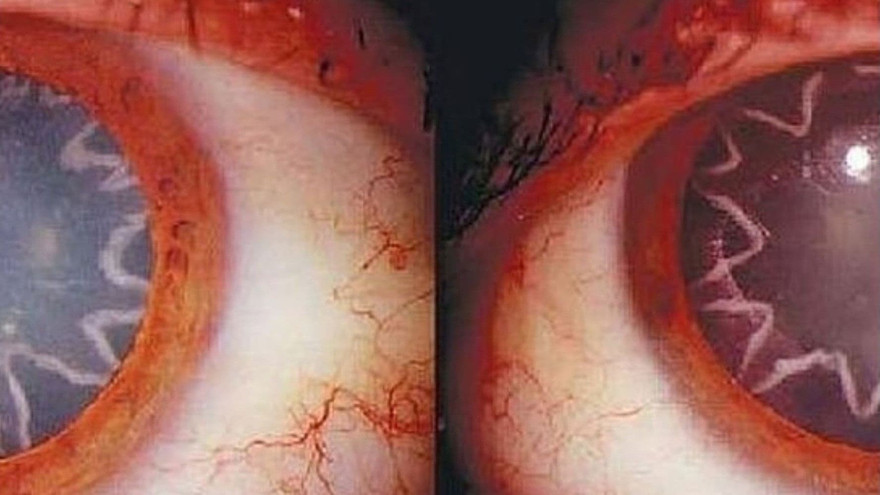 Unspeakable: Beyond The Wall of Sleep