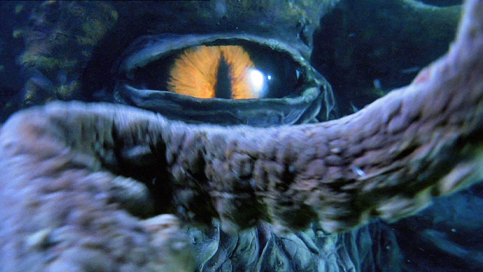 Octopus 2: River of Fear