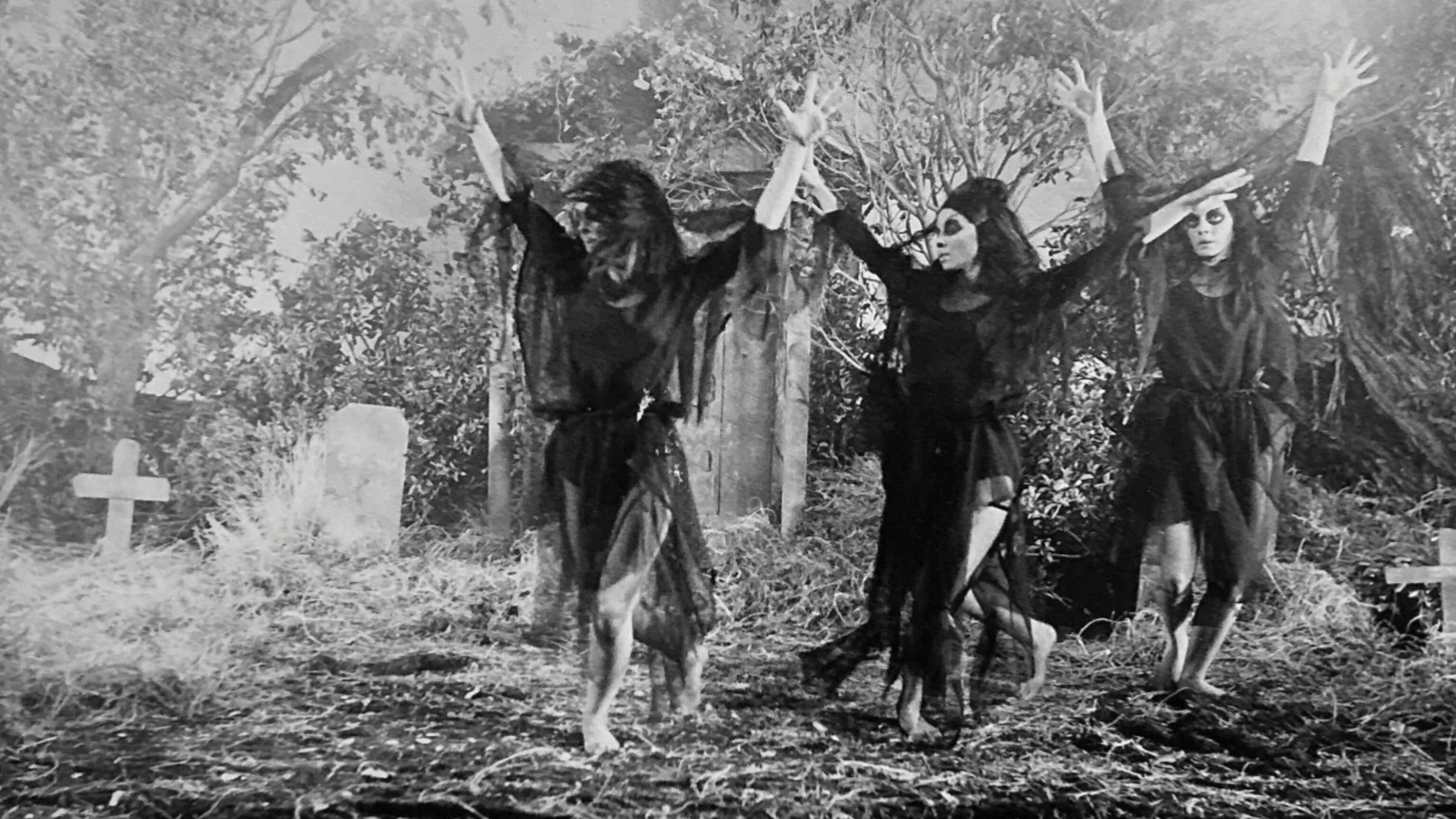 The Undead