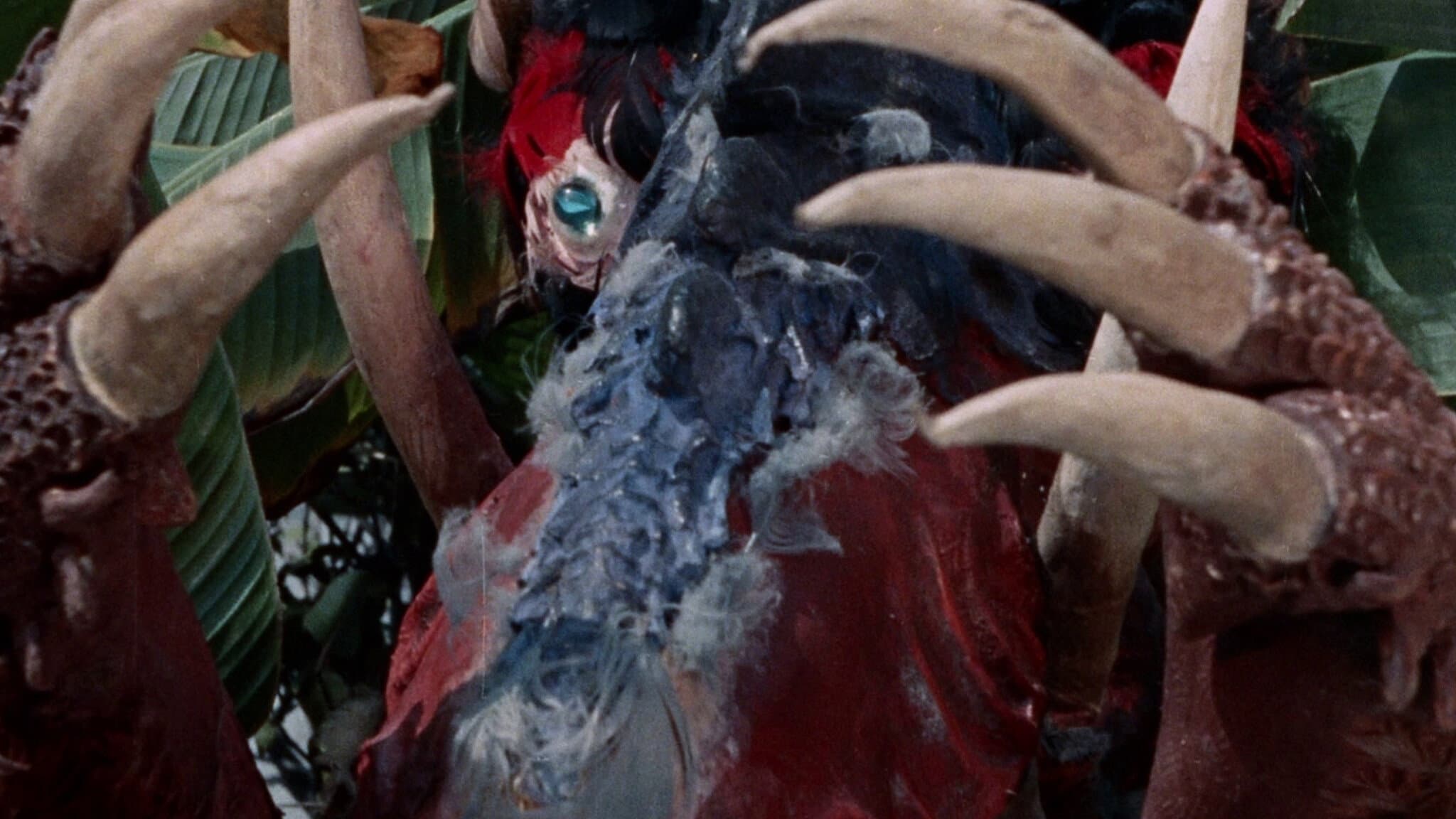 Curucu, Beast of the Amazon