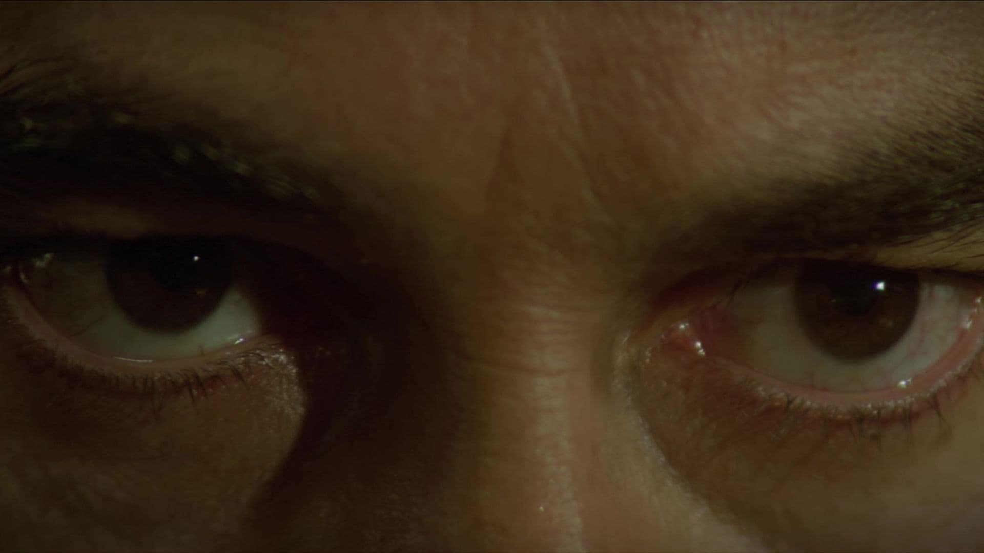 The Frenchman's Garden