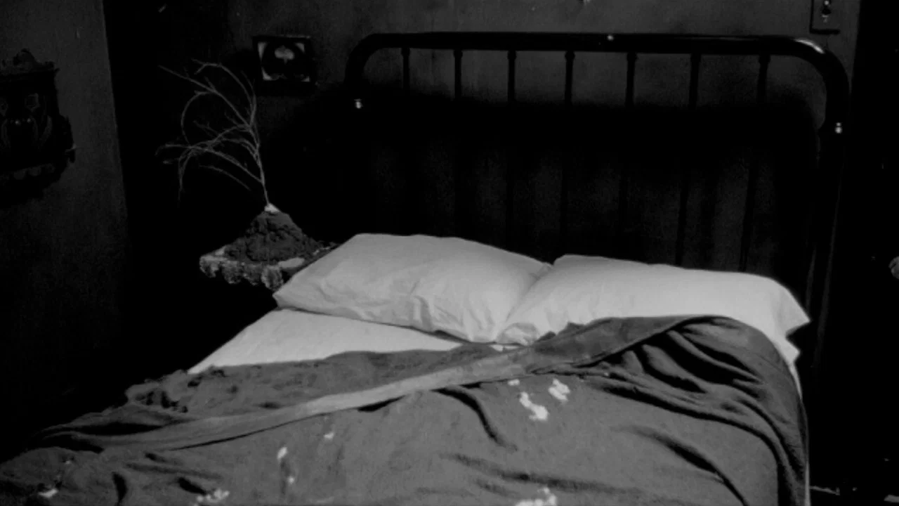 Eraserhead Stories