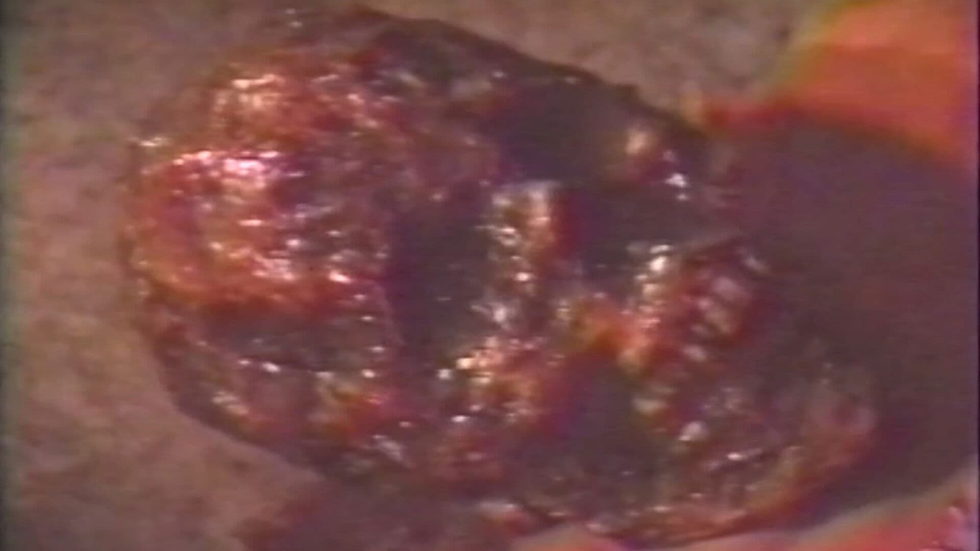 City of the Vampires