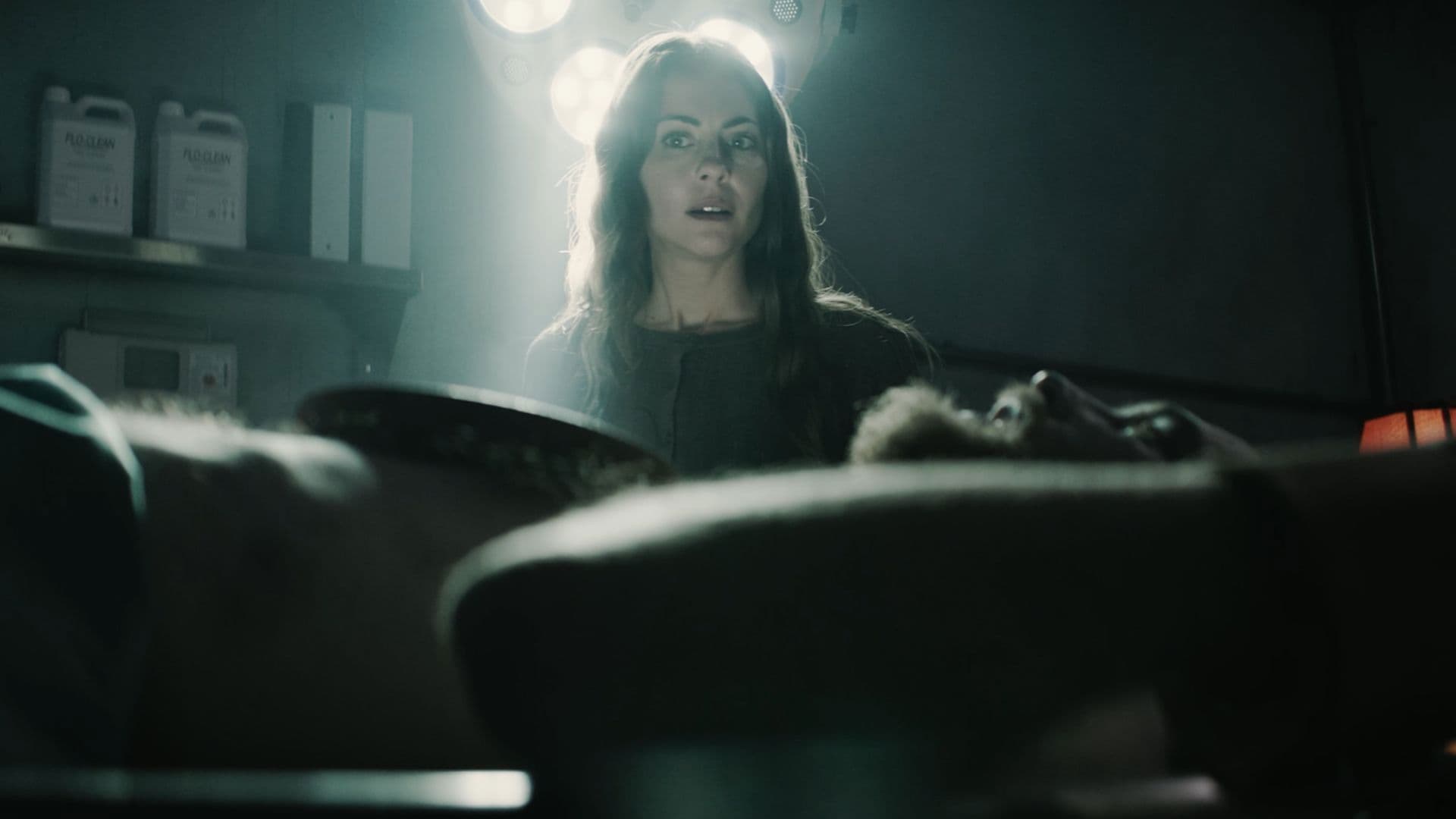 The Mortuary Assistant