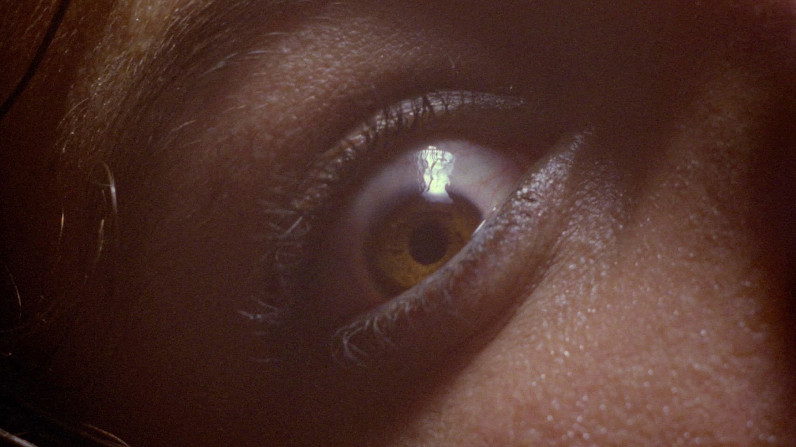 That House in the Outskirts