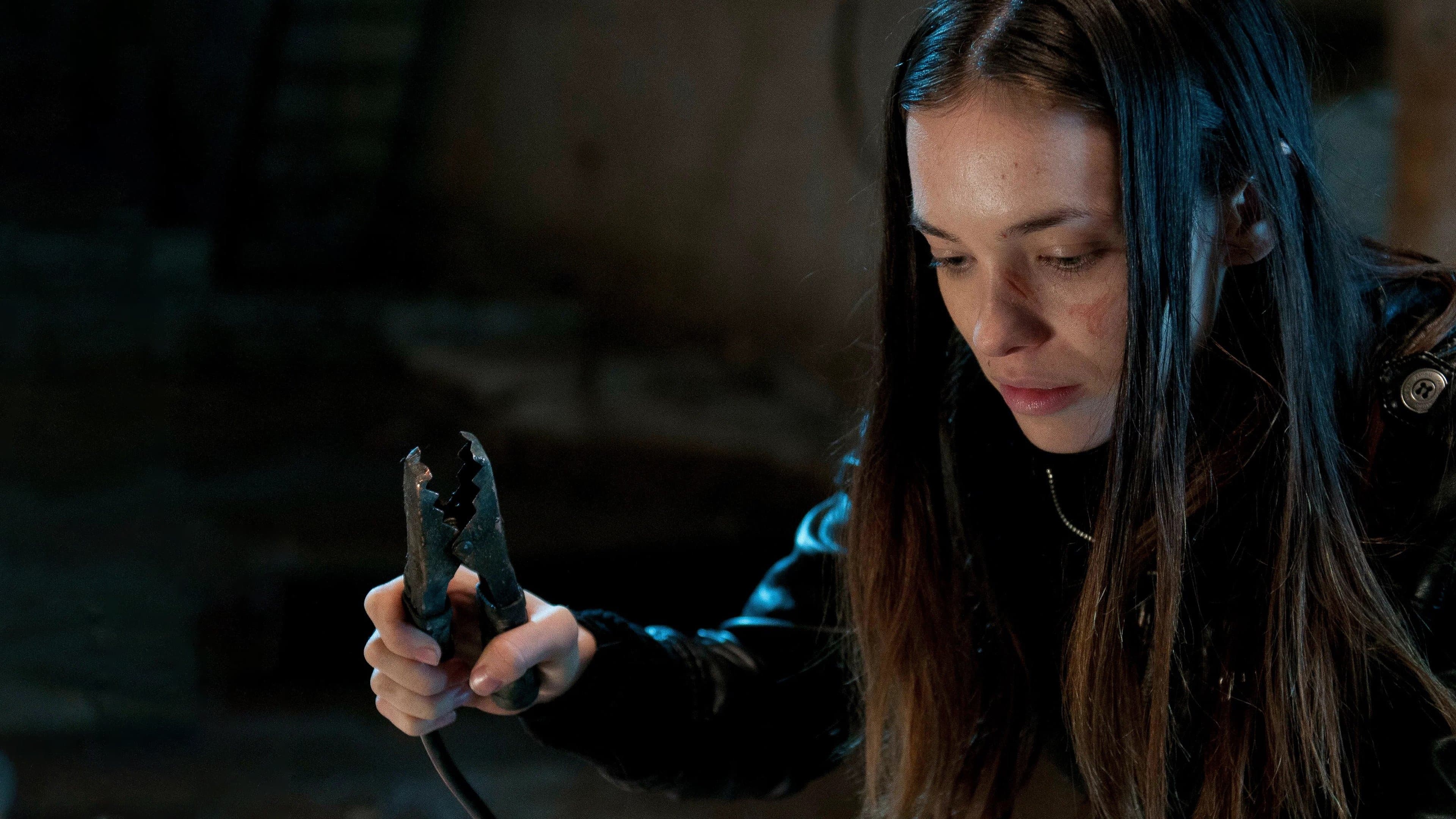 I Spit on Your Grave 2