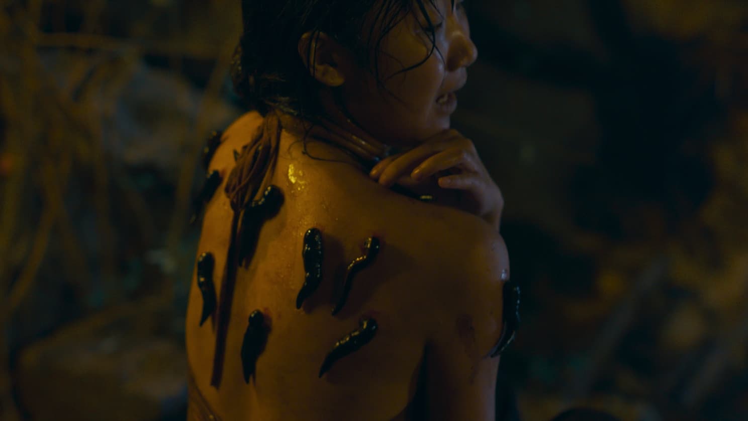 Bride of the Covenant