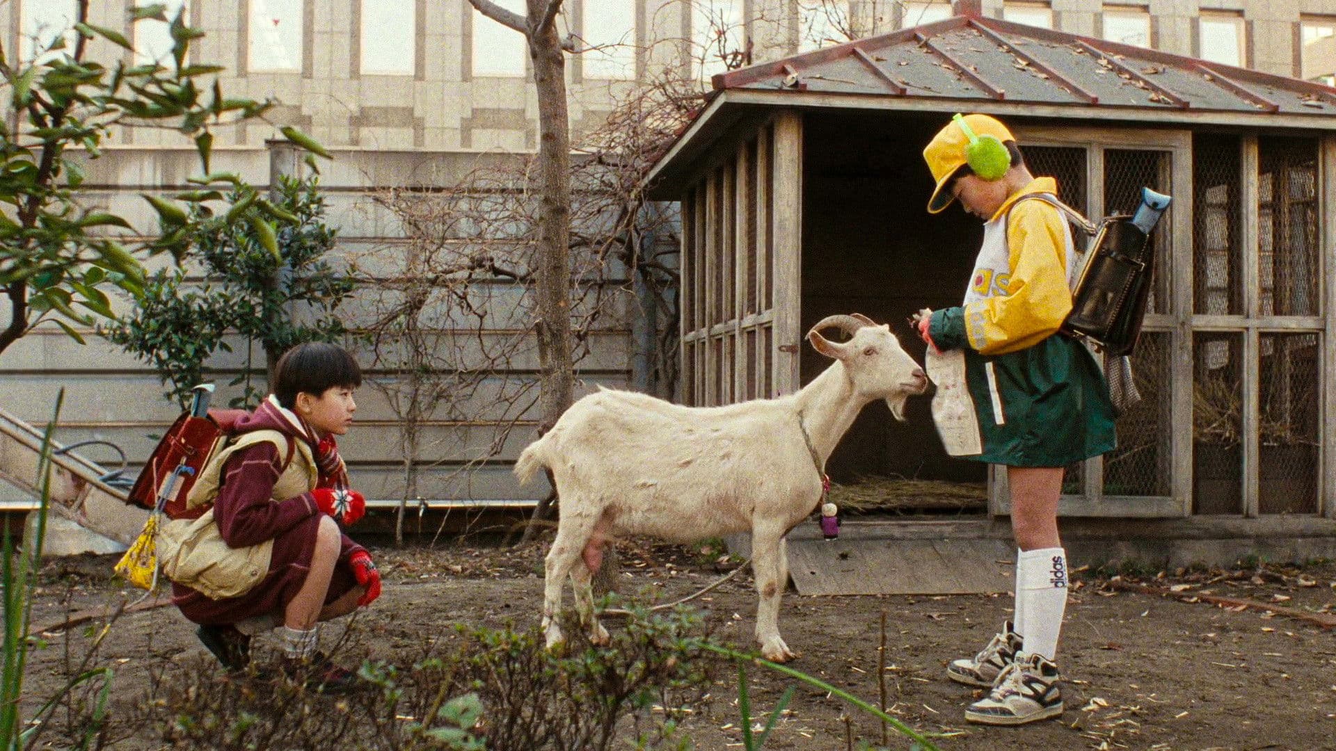 Phantom of the Toilet