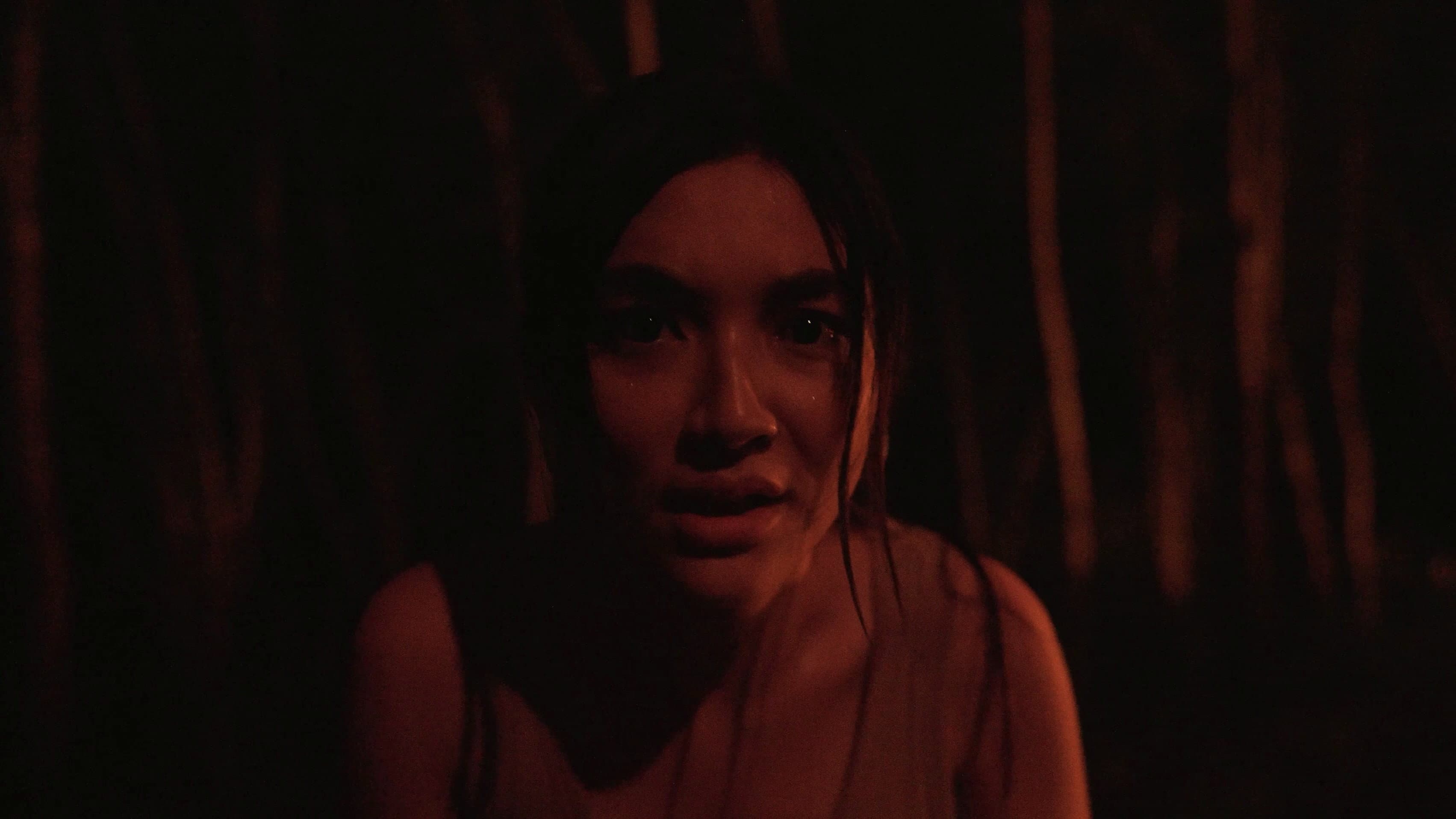 The Last Footage