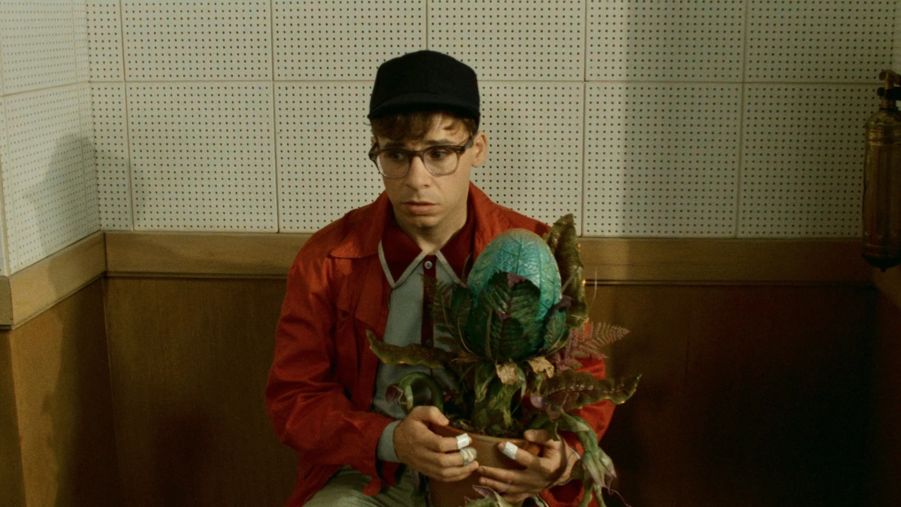 Little Shop of Horrors