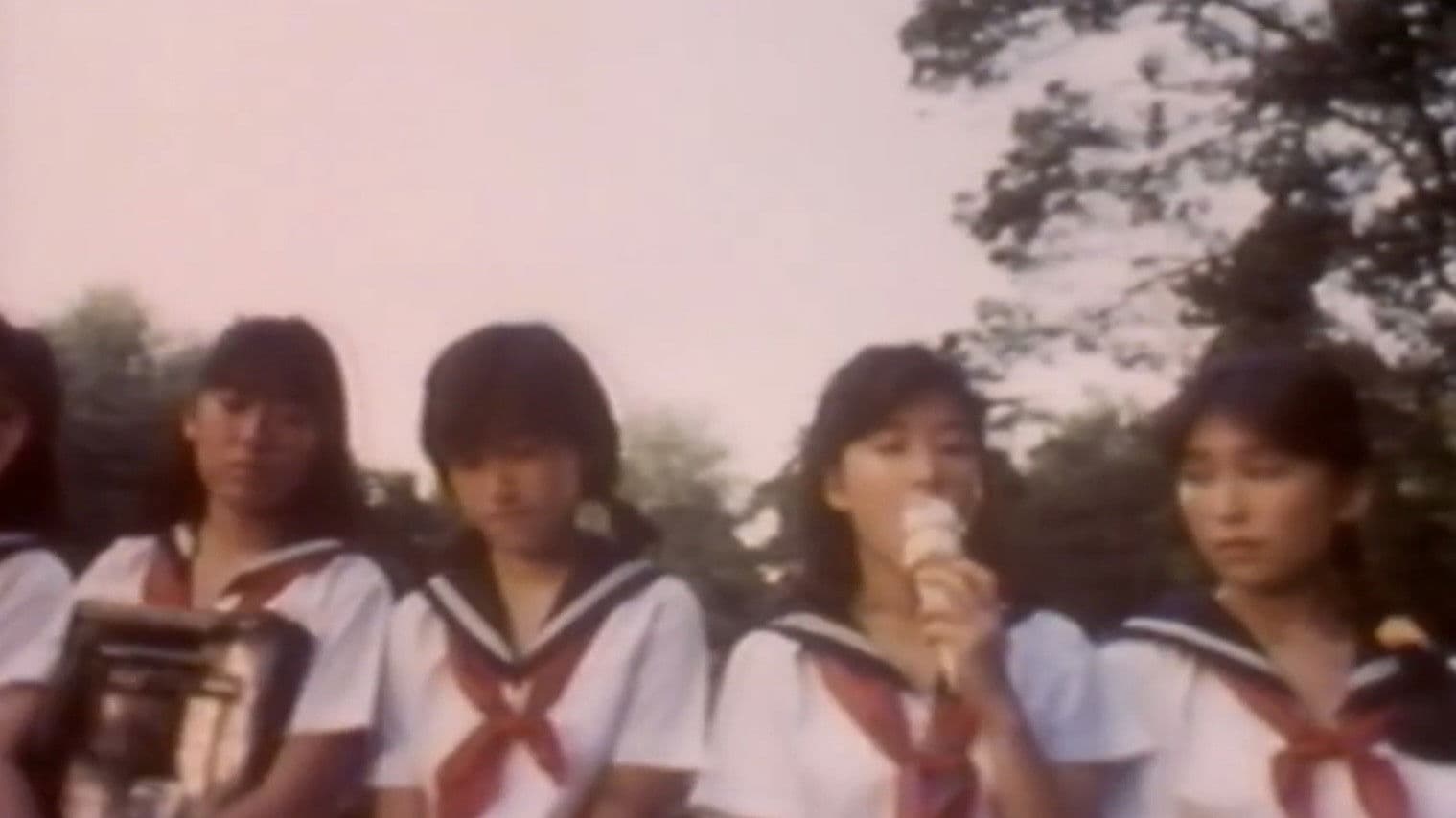 Momoco Wonderland: Strange House