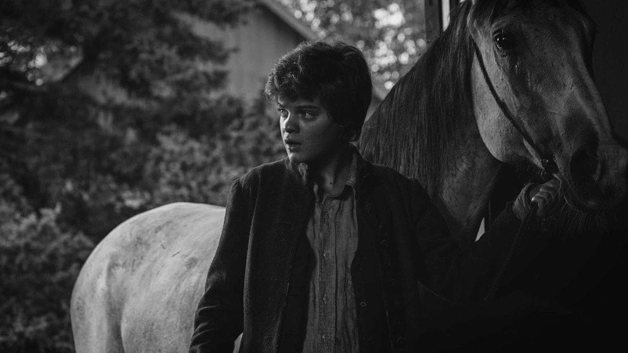 The Little Girl Who Was Too Fond of Matches