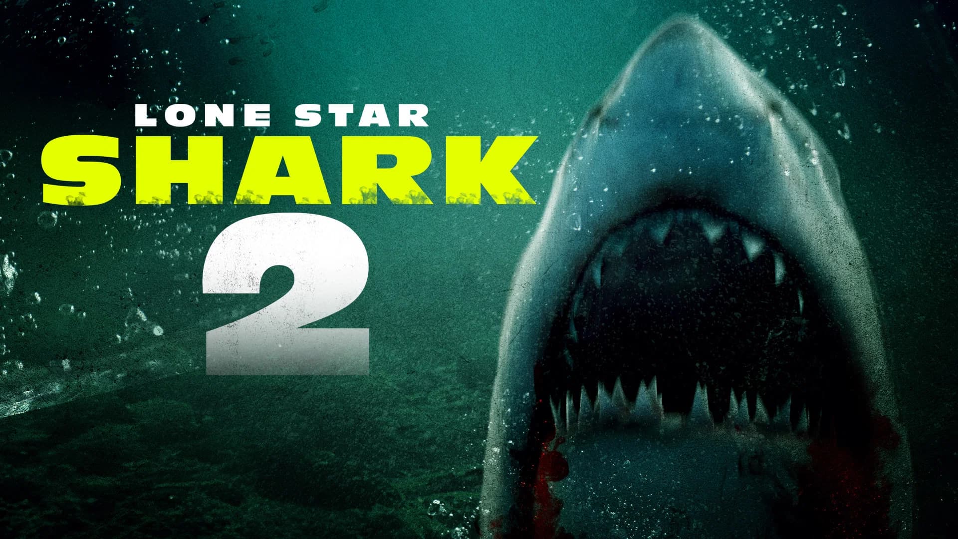 Lone Star Shark 2