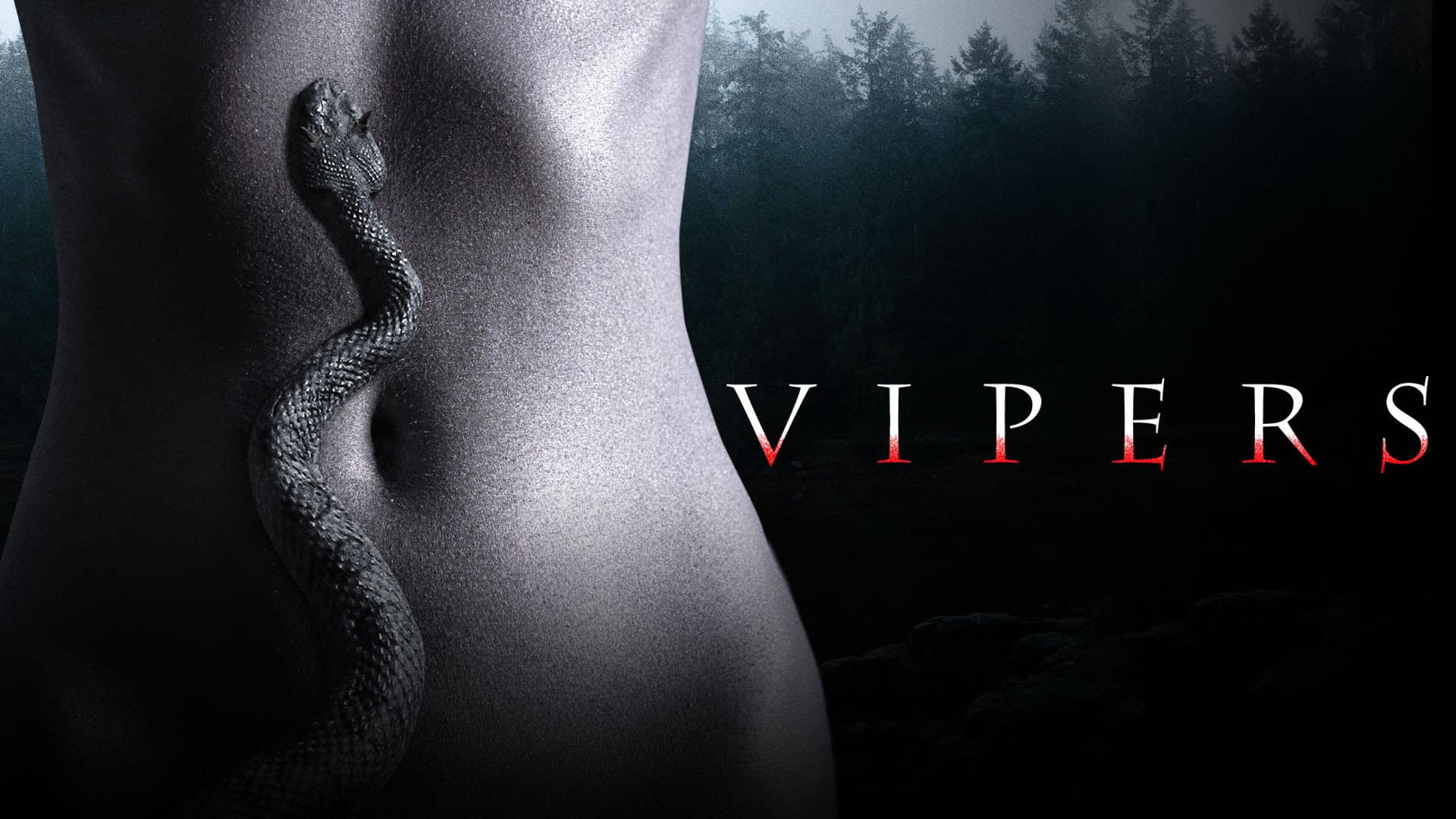 Vipers