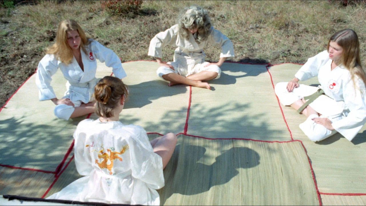 The Vixens of Kung Fu (A Tale of Yin Yang)