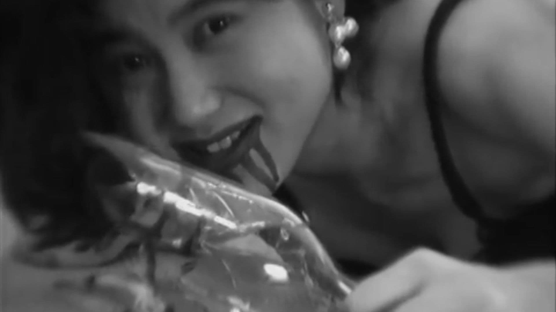 A Garden Without Birds