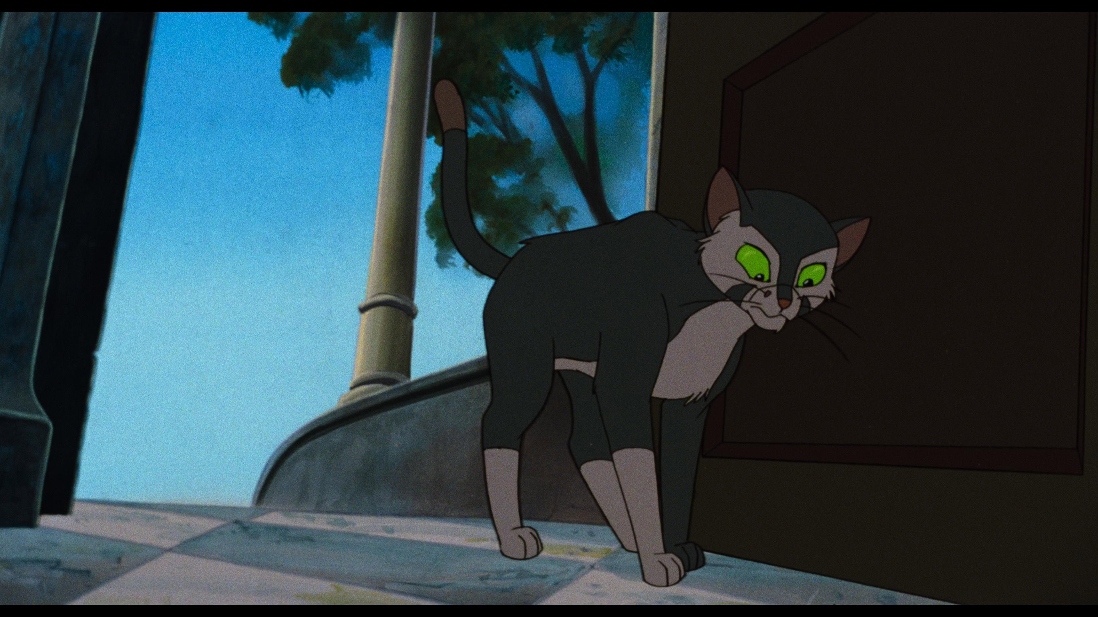 Felidae