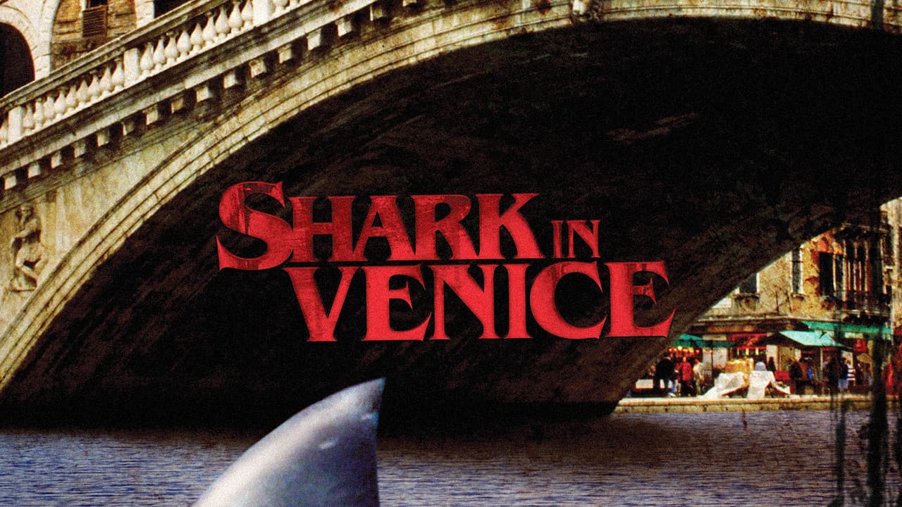 Sharks in Venice