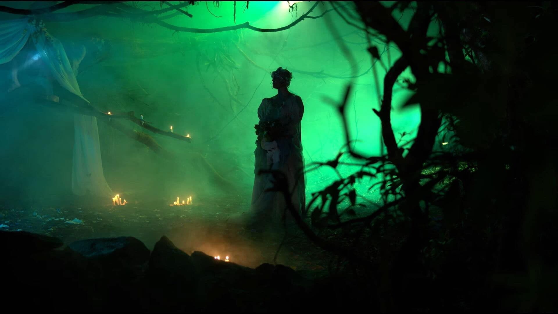 Garden of the Sleepwalkers