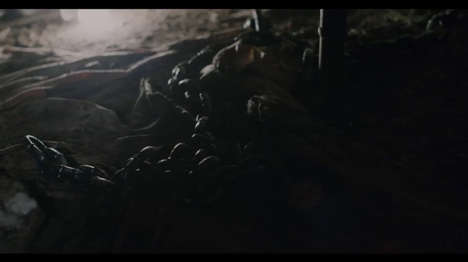 Mary Had a Little Lamb