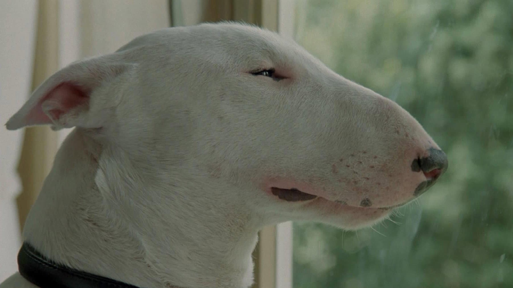 Baxter