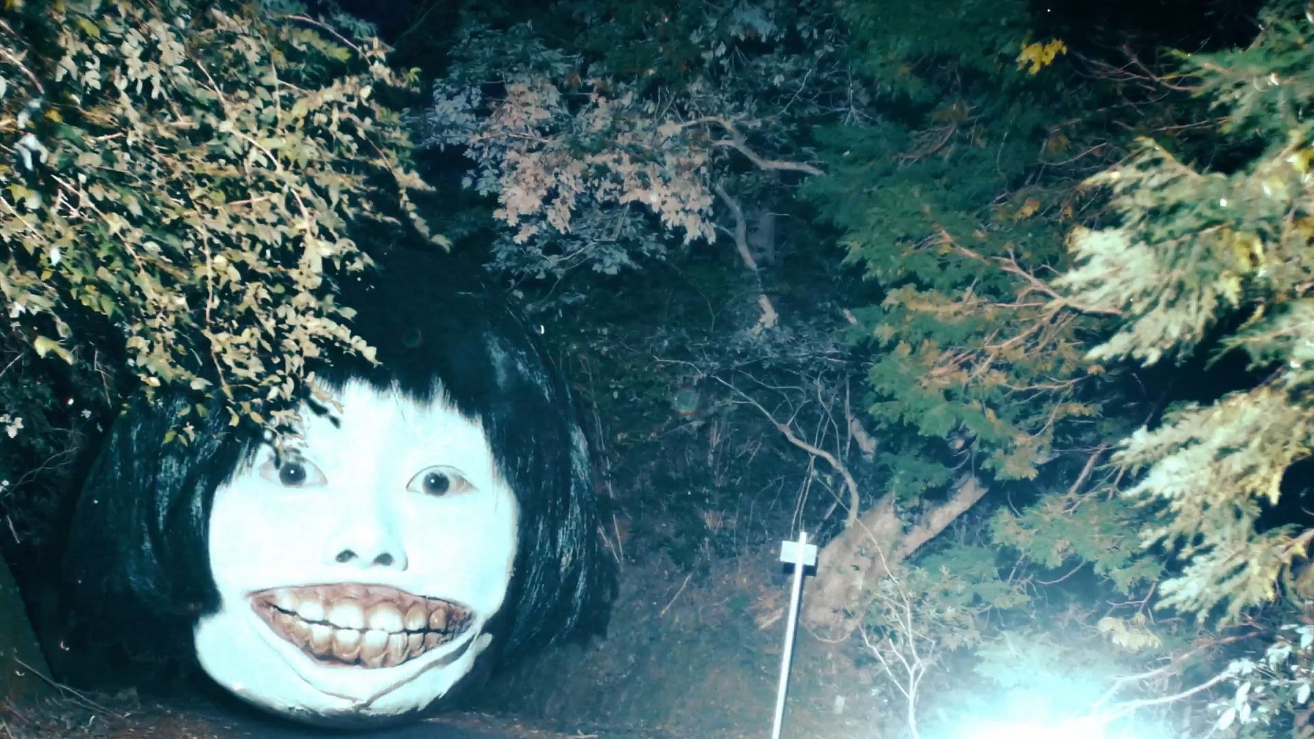 Death Forest: Forbidden Forest