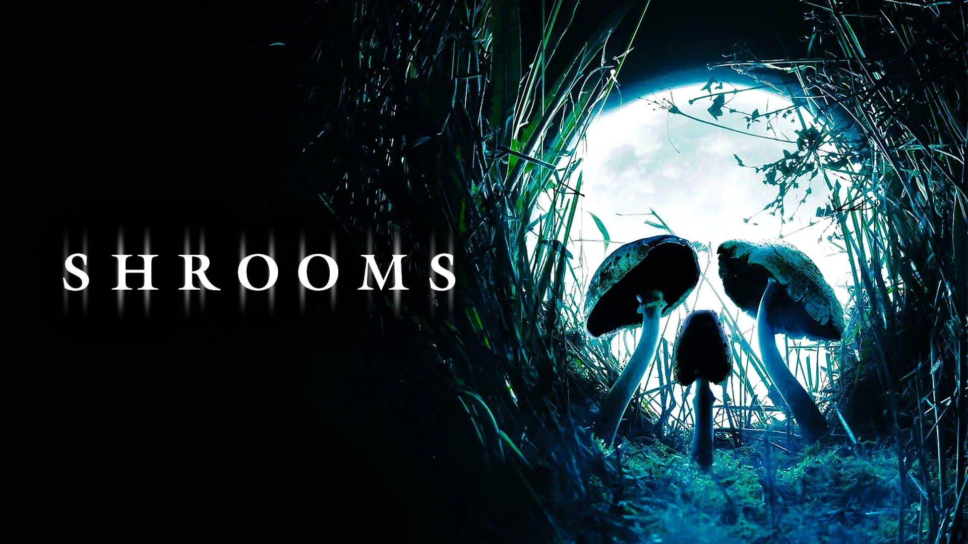 Shrooms