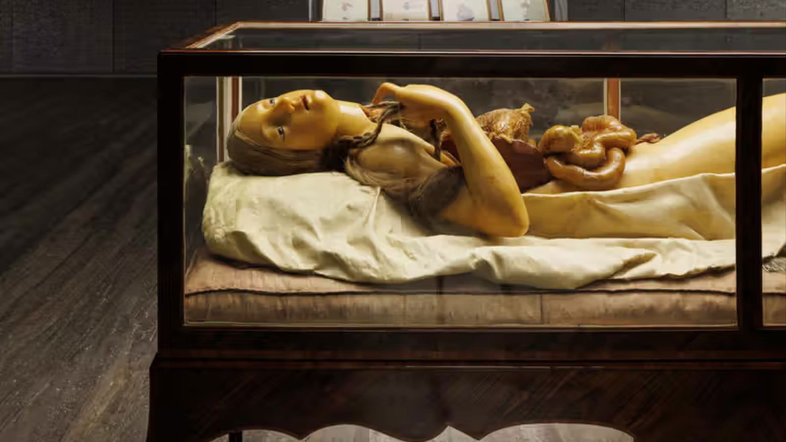 Four Unloved Women, Adrift on a Purposeless Sea, Experience the Ecstasy of Dissection