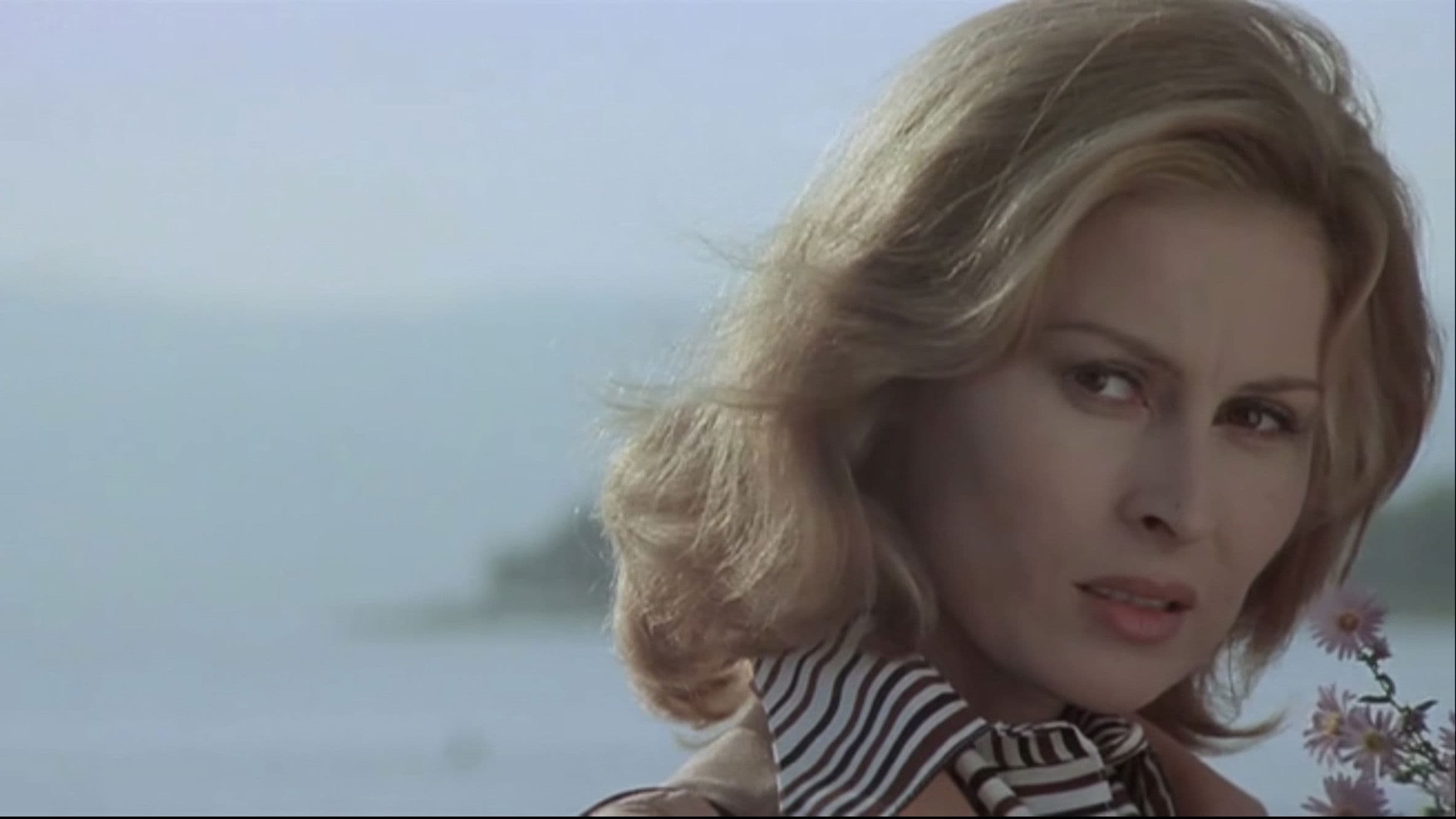 Eyes Behind the Wall