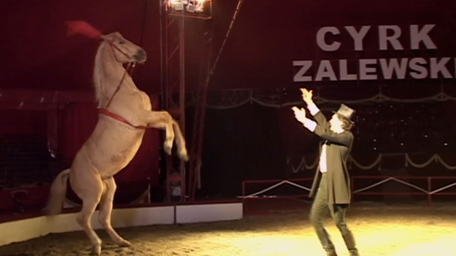 More Things That Happened