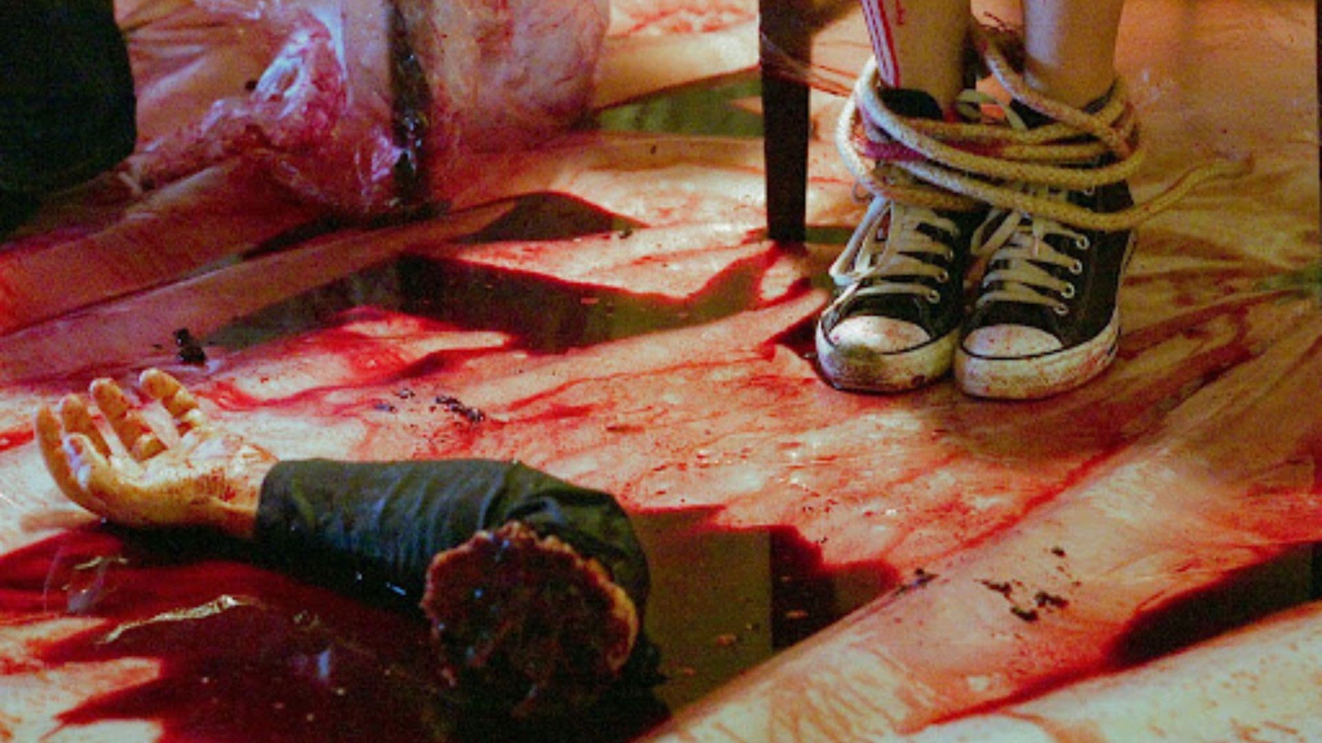 The Last House in the Woods