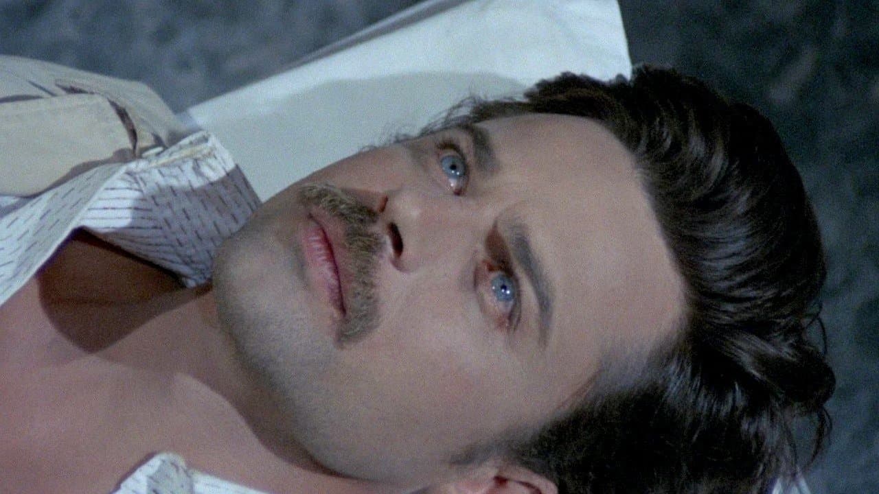 Short Night of Glass Dolls