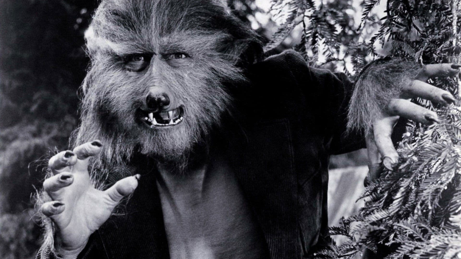 The Boy Who Cried Werewolf