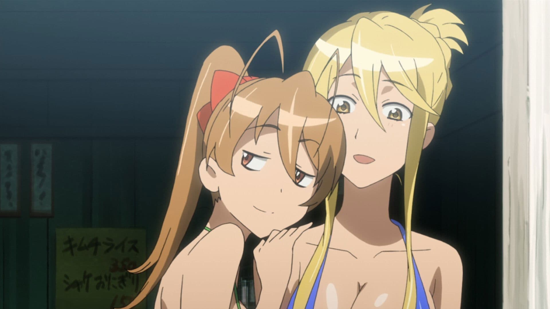 High School of the Dead: Drifters of the Dead