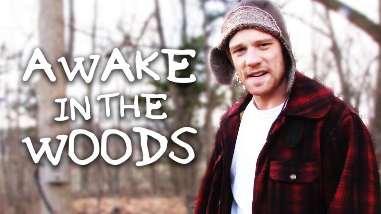 Awake In The Woods