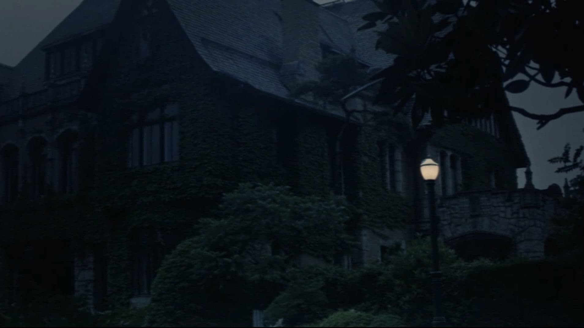 The Shadow on the Wall