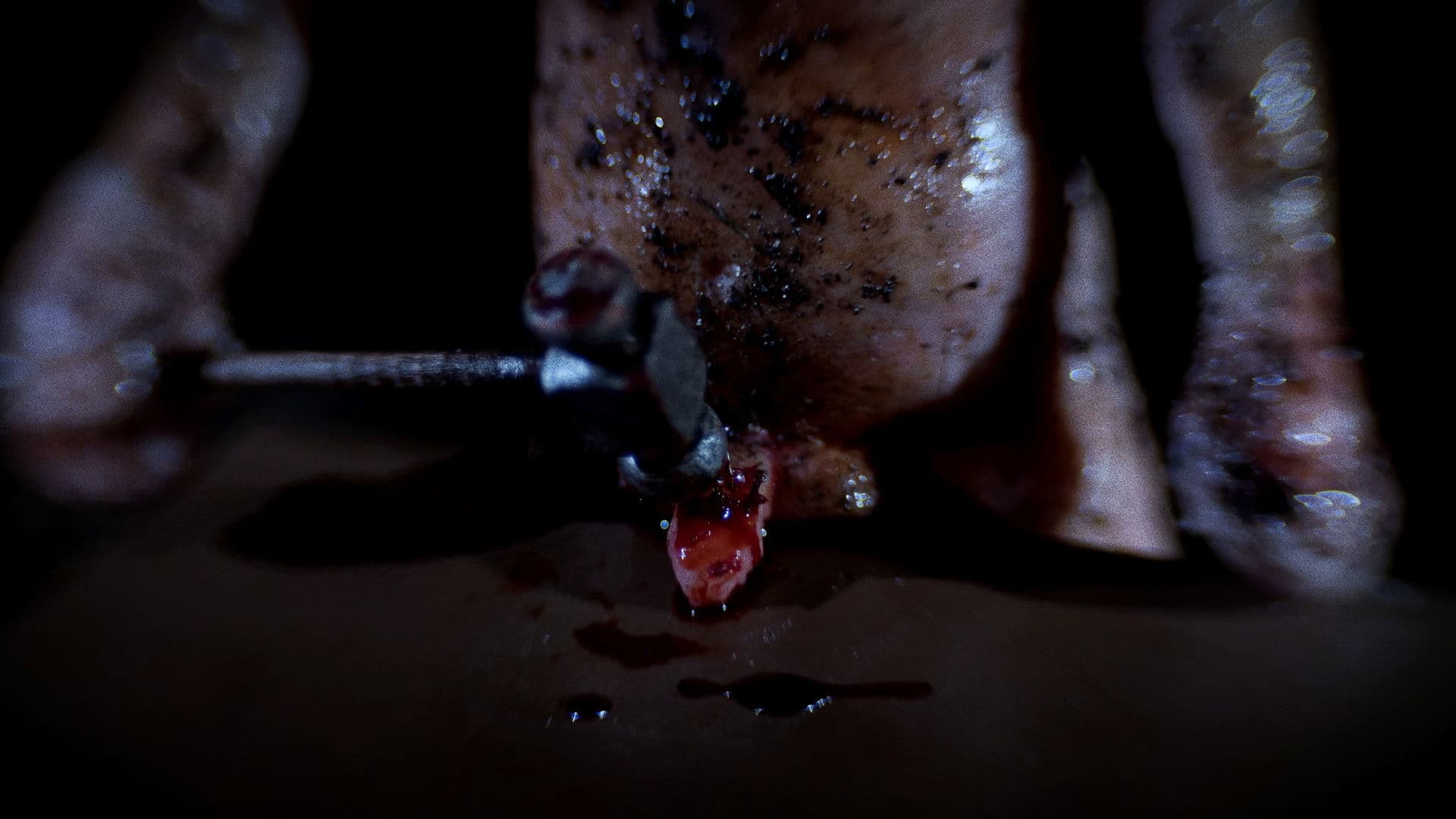 Tomorrow I Will Be Dirt