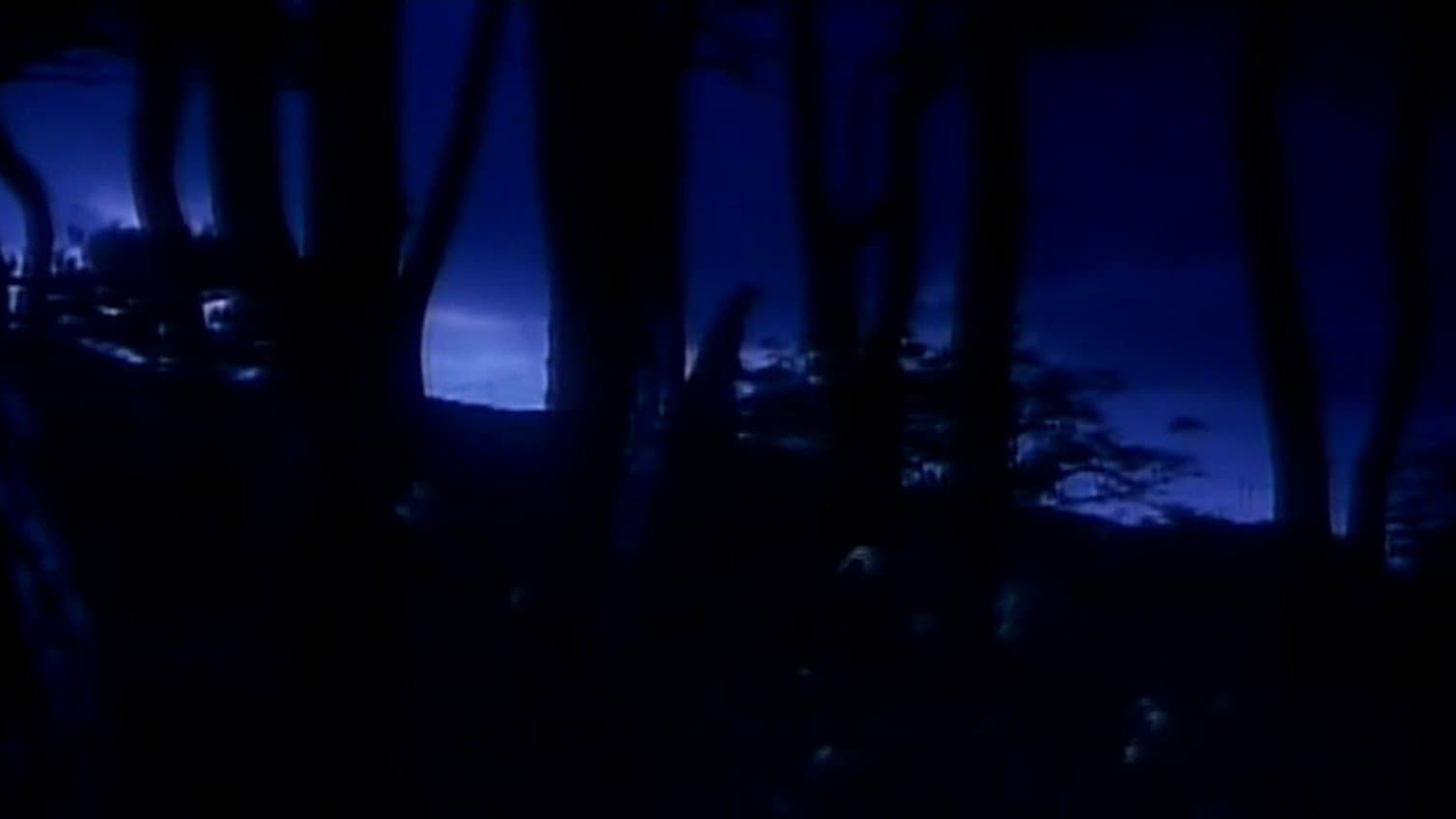 The Brutal Insanity of Love