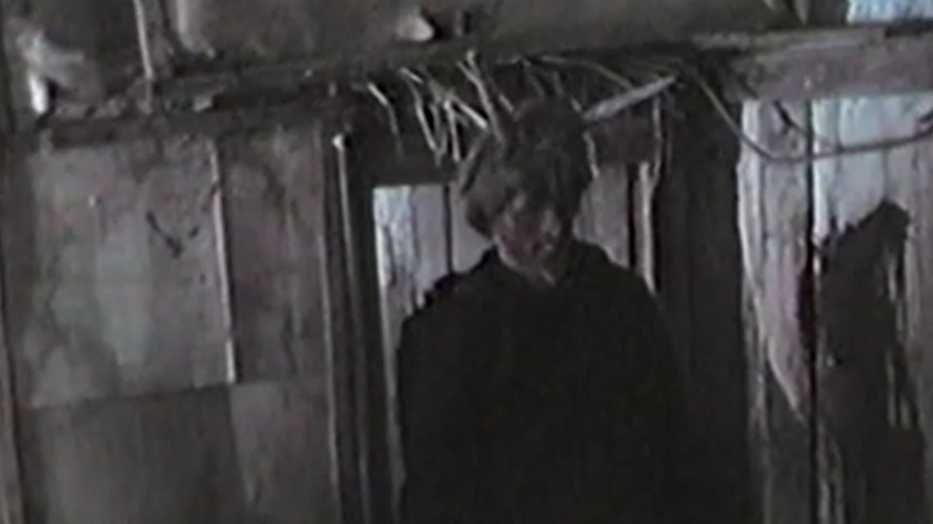 Church of the Damned