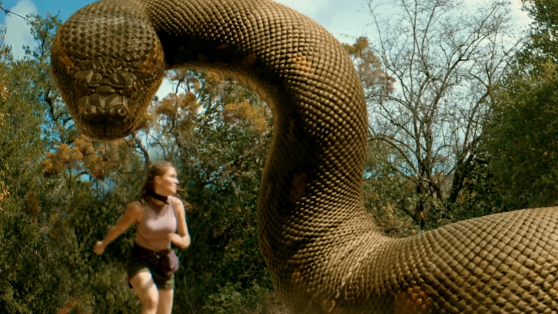 The Anacondas